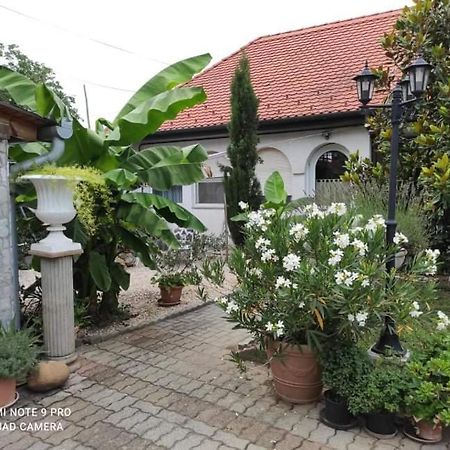 Lavendel Apartman Harkány Zewnętrze zdjęcie